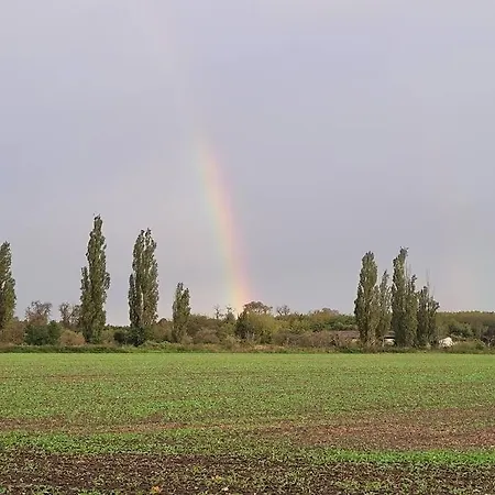 Dorfstuebchen *
