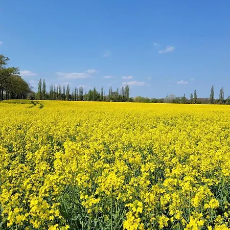 Dorfstuebchen Apartment *