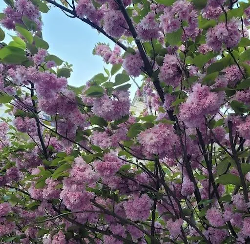 Dorfstuebchen * Hohen Neuendorf