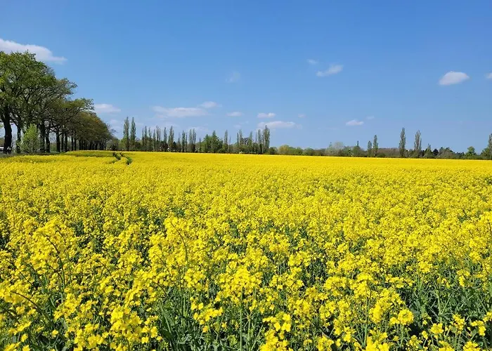 Dorfstuebchen Apartment *